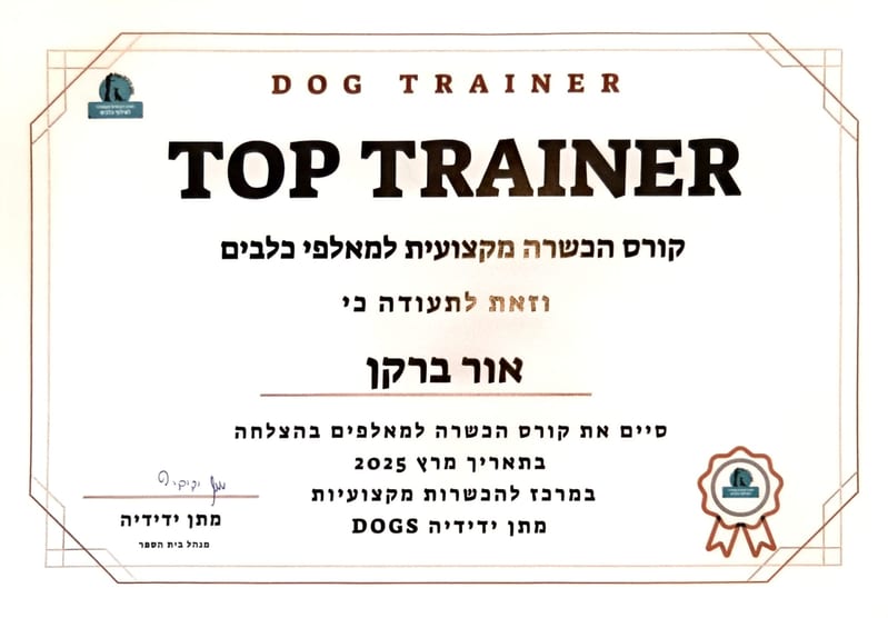 תעודה: TOP TRAINER, קורס הכשרה מקצועית למאלפי כלבים - אור ברקן, מתן ידידיה DOGS